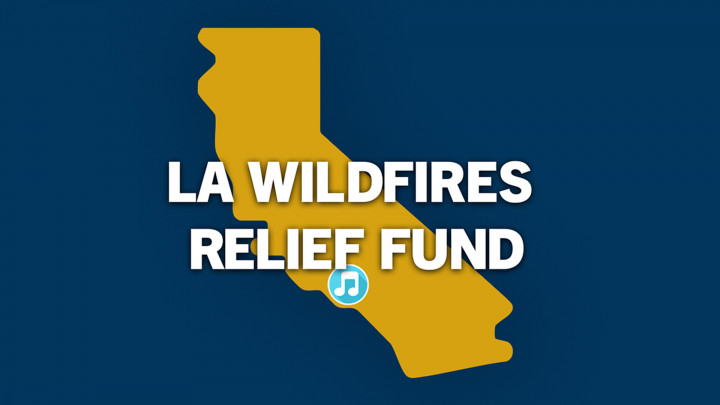 Image of LA Wildfires Relief Fund