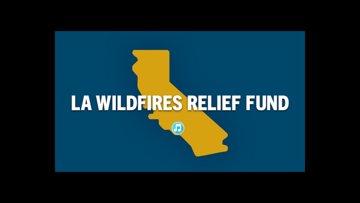 Image of LA Wildfires Relief Fund